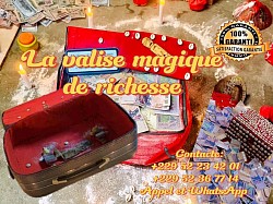 LA VALISE MAGIQUE ET SES MERVEILLE